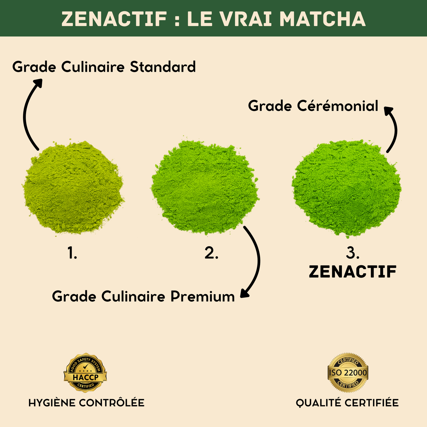 Matcha Cérémonie BIO – Pur & Sans Amertume – Antioxydant Naturel