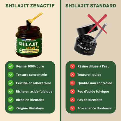 Shilajit PURE ZENACTIF - Energie & Concentration - Testé en laboratoire