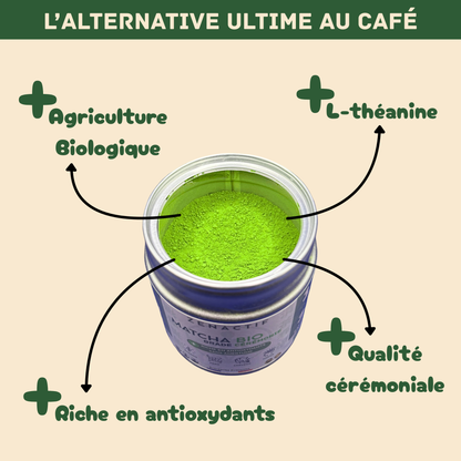 Matcha Cérémonie BIO – Pur & Sans Amertume – Antioxydant Naturel